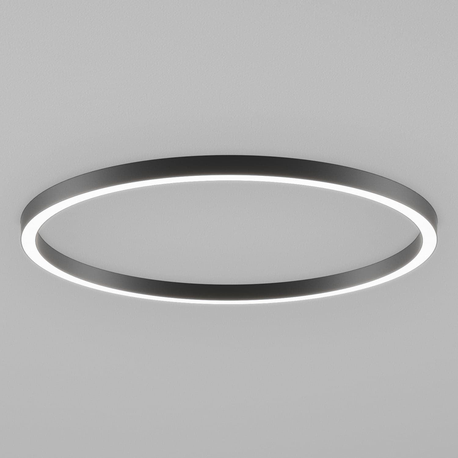 HIP-RADII-RING-SM