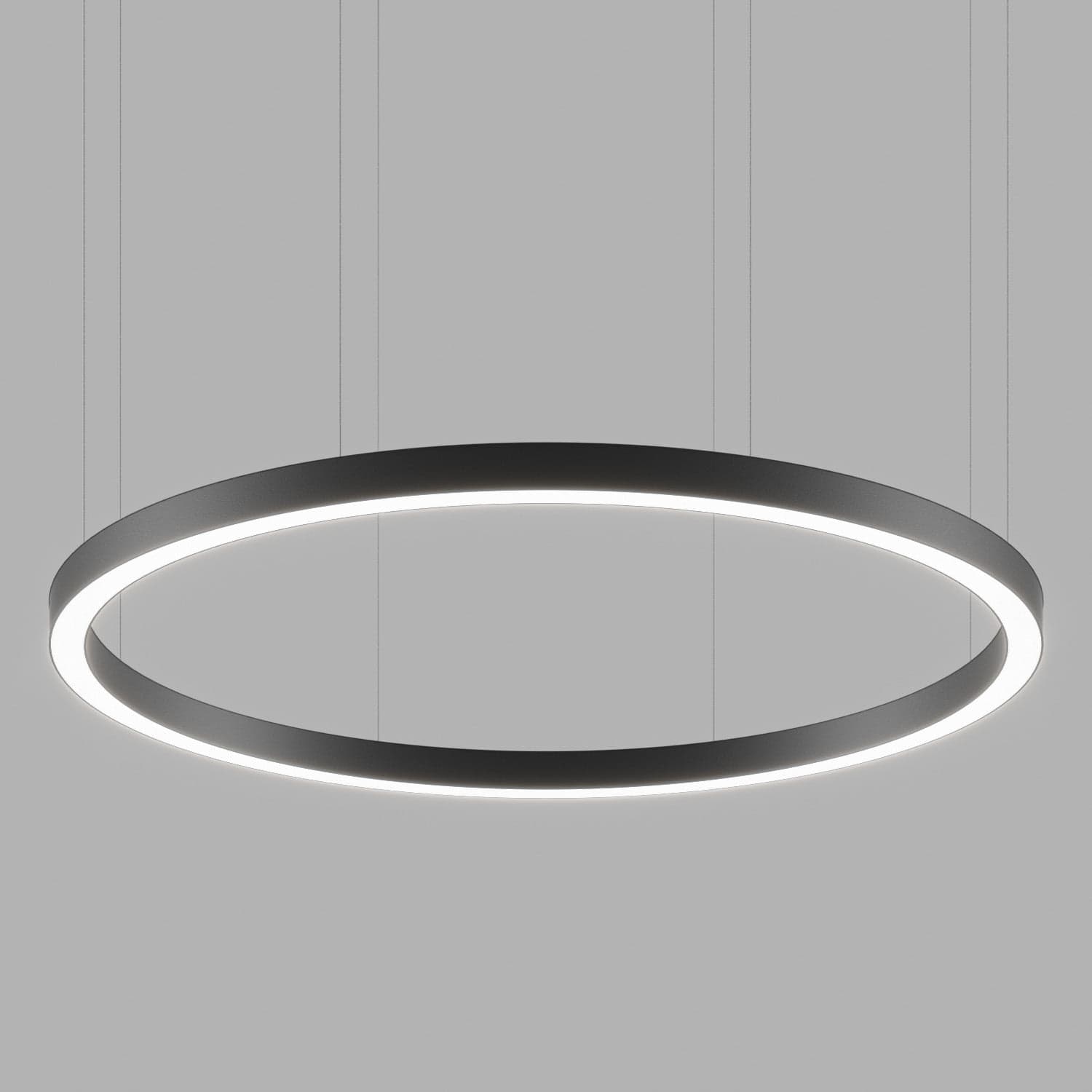 HIP-RADII-RING-SUS