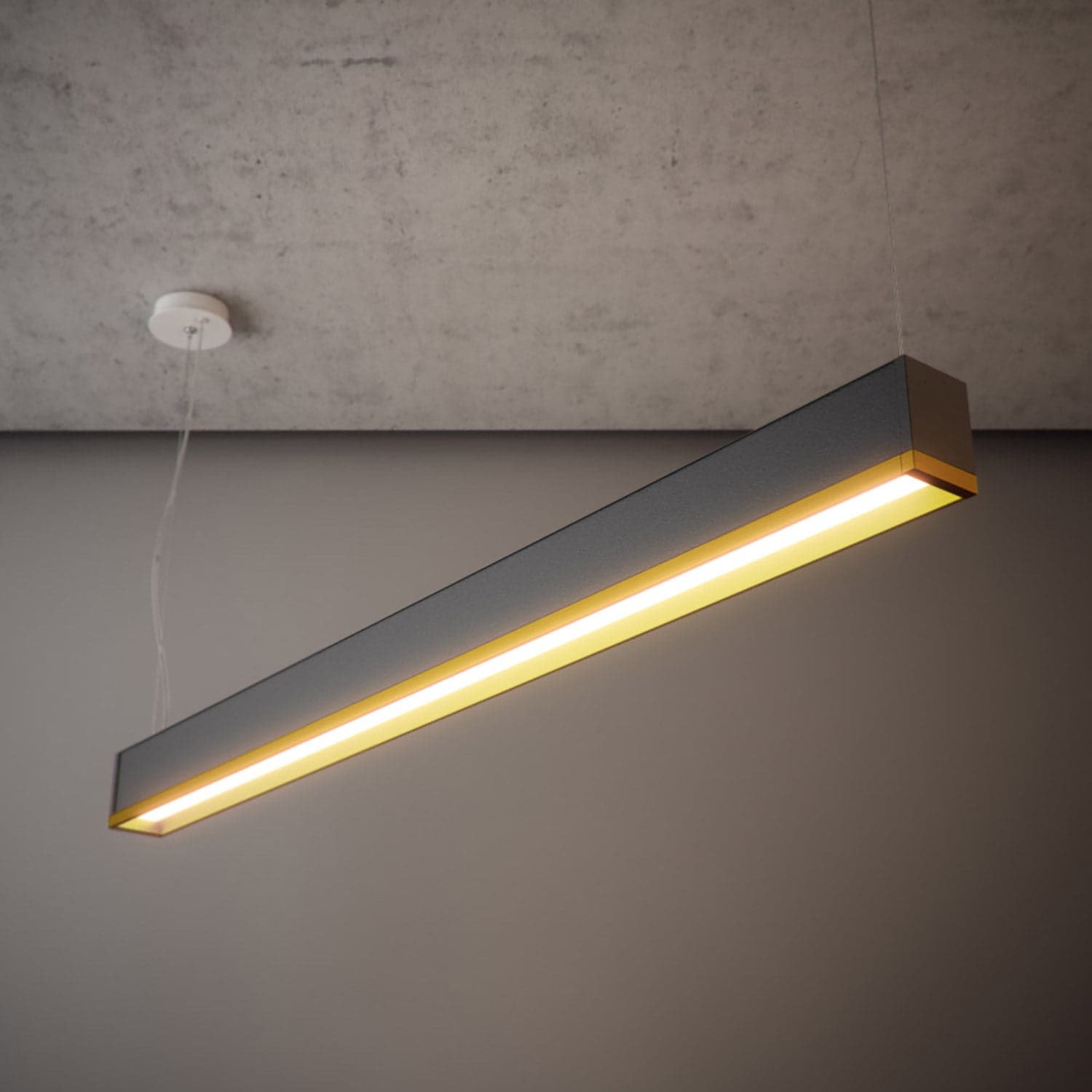 HIP-SUS-STRAIGHT