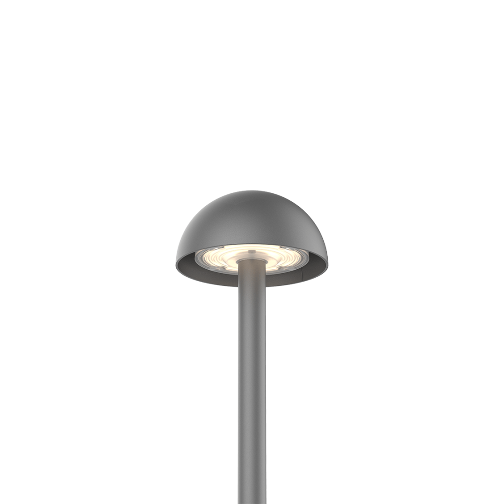 POSEIDON S100A
